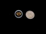 5 FLORAL GOLD CENTER 3/4" TRANSPARENT BUTTONS SUITS BLOUSES DRESSES