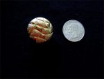 6 TEXTURED MATTE SHINY 1 CHIC STYLES GOLDEN BUTTONS