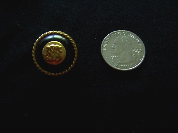 7 BLACK GOLD CARVED RIM 7/8" ROUND BUTTONS