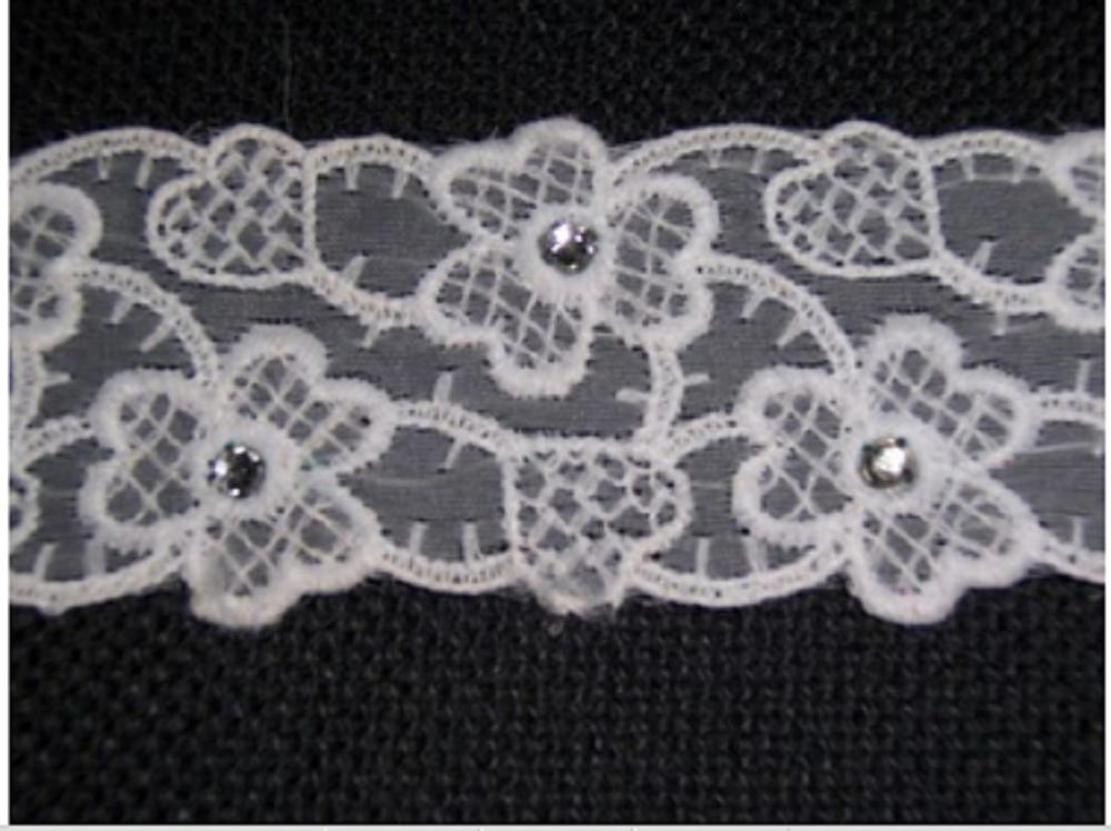 VINTAGE-TRIM-LOVELY-OFF-WHITE-EMBROIDERED-ORGANZA-5.25y