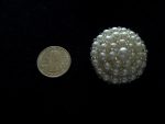 1 HAND BEADED PEARL & SILVER BEAD BUTTONS 1 75" IN SIZE  #202