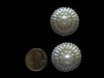 2 HAND BEADED RICE & ROUND PEARL BUTTONS 1" IN SIZE  #204