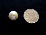 6 PEARL BALL BUTTONS 7/8" SIZE #193