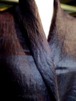 CRUSHED-TWINKLE-BLACK-MICROFIBER-VISCOSE-SATIN-FABRIC-CHIC-JACKETS-DRESSES-1-1