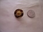 Horn & Shell buttons